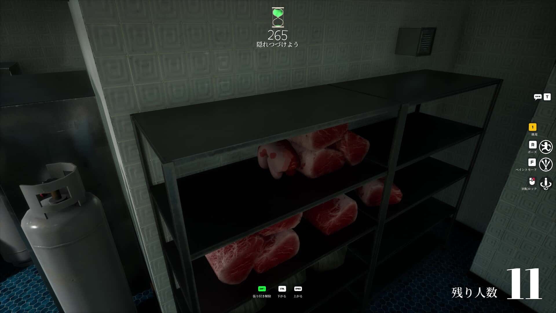 视觉数据5
